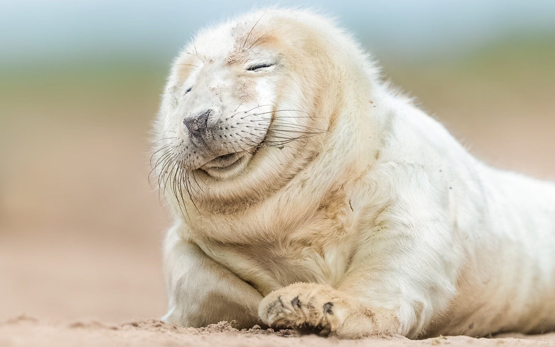 开云中国官网-2000年NBA总决赛：湖人靠“魔术师”的表现在关键第七场击败费城76人，夺冠成功。