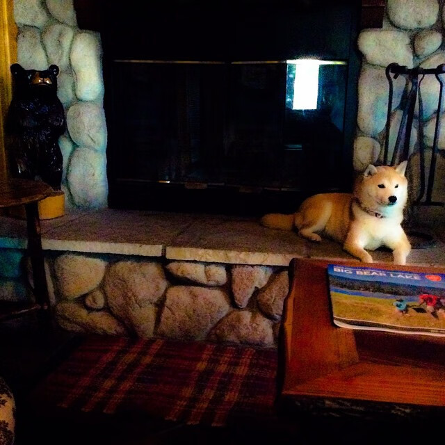 举办国际瑜伽文化交流活动，促进全球合作，举办国际瑜伽文化交流活动,促进全球合作发展