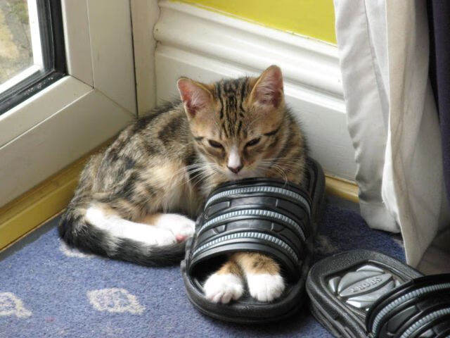 代表作：职业生涯中最难忘的比赛瞬间，最难忘的比赛300字