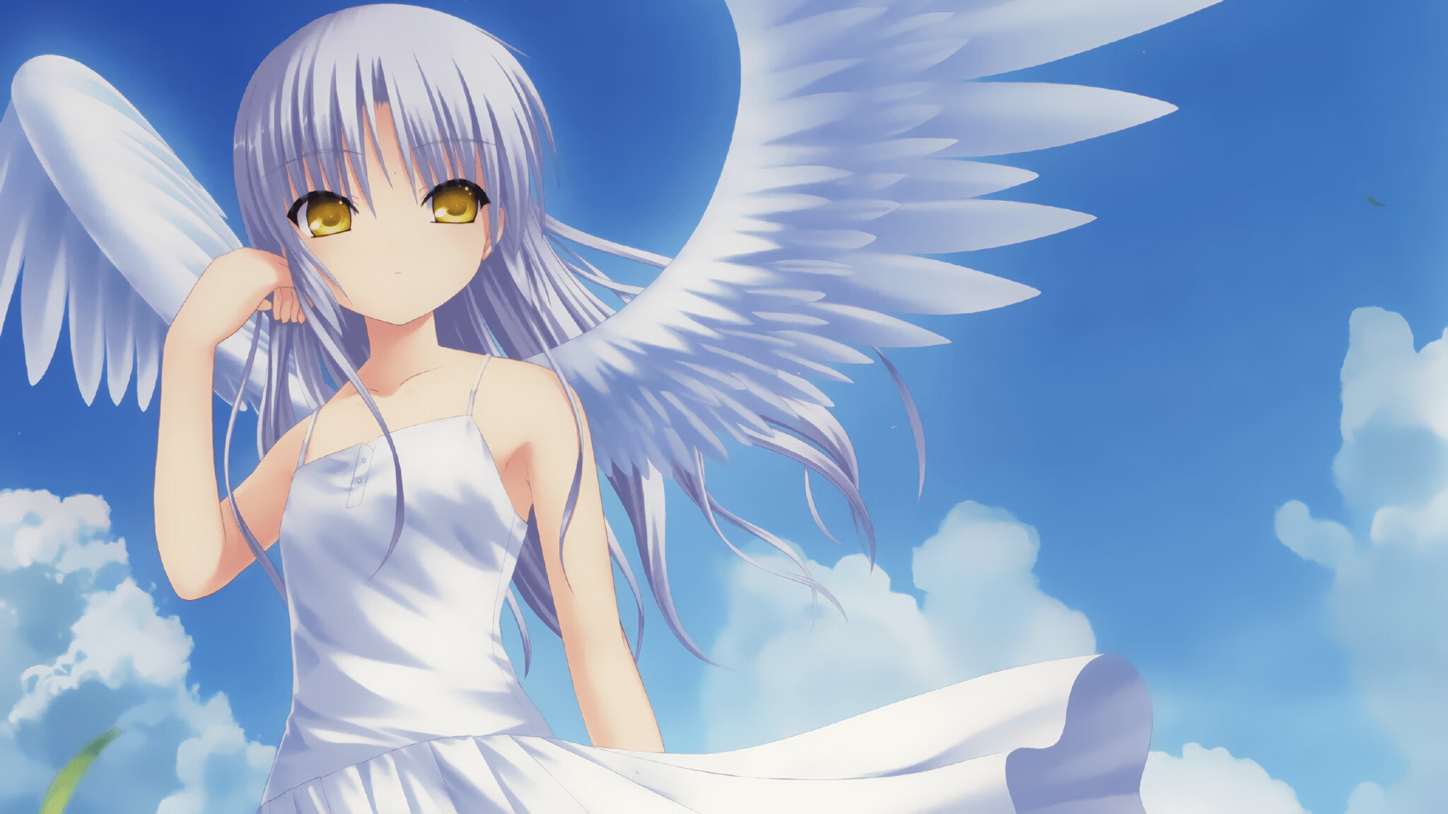 体育科技创新成果亮相全国篮球创新大会，体育科技创新项目